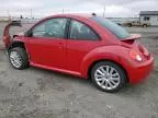 2008 Volkswagen New Beetle S