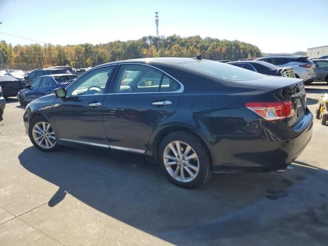 2010 Lexus ES 350