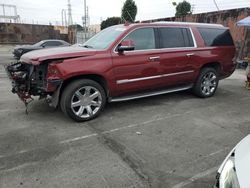 Cadillac Vehiculos salvage en venta: 2016 Cadillac Escalade ESV Luxury