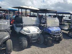 2021 Golf Cart en venta en Riverview, FL