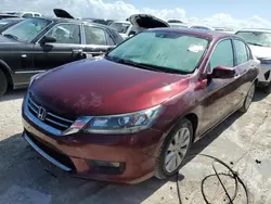 Salvage cars for sale at Arcadia, FL auction: 2015 Honda Accord EXL