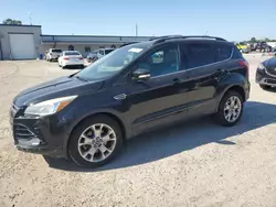 Salvage cars for sale at Harleyville, SC auction: 2013 Ford Escape SEL