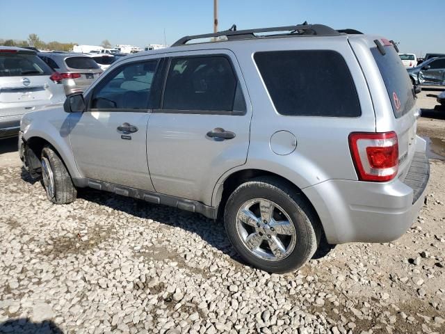 2010 Ford Escape XLT