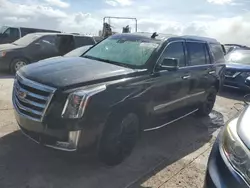 Flood-damaged cars for sale at auction: 2017 Cadillac Escalade Luxury