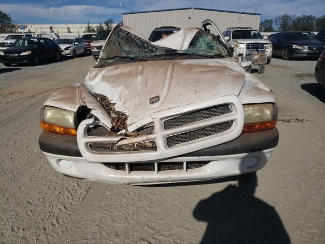 2001 Dodge Dakota