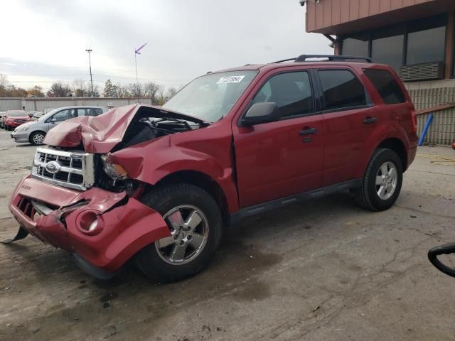 2009 Ford Escape XLT