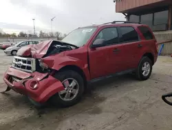 2009 Ford Escape XLT en venta en Fort Wayne, IN