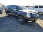 2009 Cadillac Escalade ESV Luxury