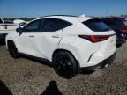 2022 Lexus NX 350