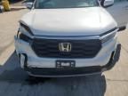 2024 Honda Pilot EXL