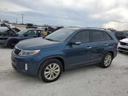 Salvage cars for sale at Arcadia, FL auction: 2014 KIA Sorento EX