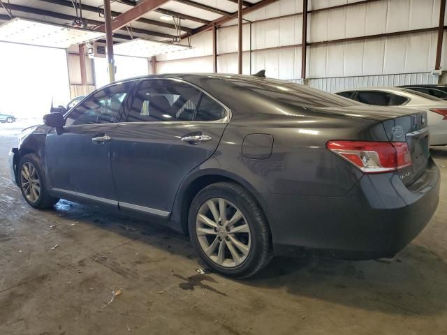 2010 Lexus ES 350