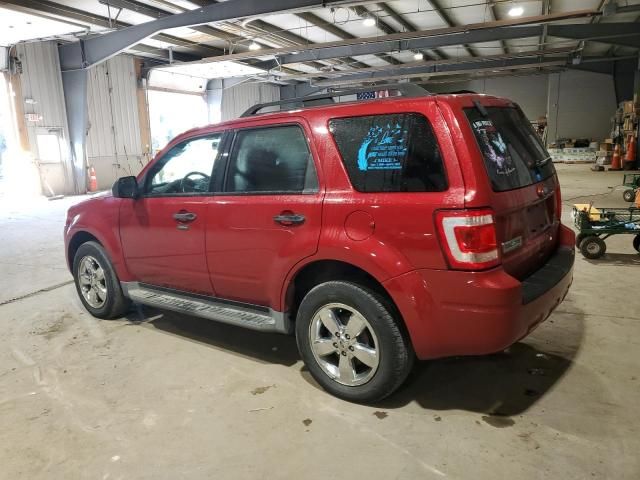 2011 Ford Escape XLT