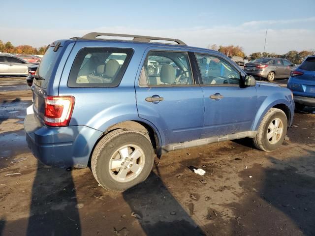 2010 Ford Escape XLS