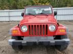 2005 Jeep Wrangler / TJ SE