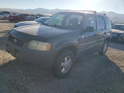 Ford Vehiculos salvage en venta: 2002 Ford Escape XLS