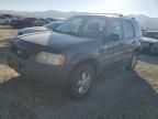 2002 Ford Escape XLS