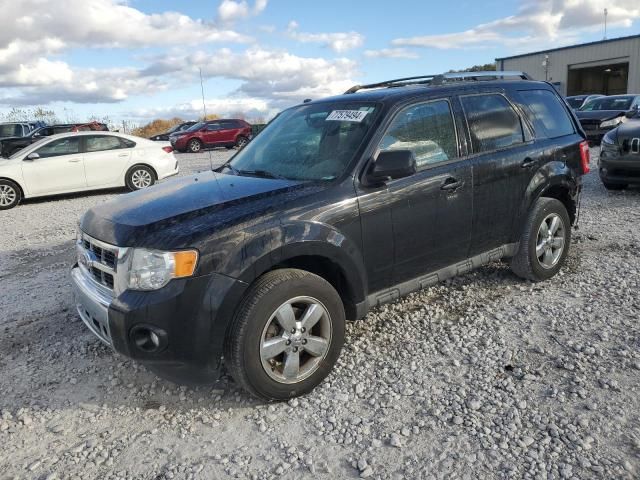 2011 Ford Escape Limited