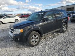 Salvage cars for sale at Wayland, MI auction: 2011 Ford Escape Limited