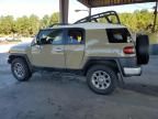 2013 Toyota FJ Cruiser