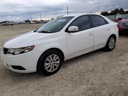 Salvage cars for sale at Arcadia, FL auction: 2010 KIA Forte EX