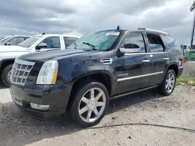 2014 Cadillac Escalade Luxury