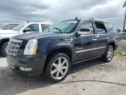 Cadillac Vehiculos salvage en venta: 2014 Cadillac Escalade Luxury