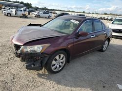 2008 Honda Accord EXL en venta en Harleyville, SC