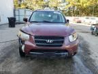 2007 Hyundai Santa FE SE