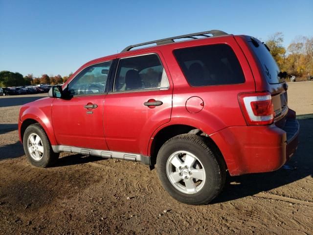 2010 Ford Escape XLT