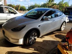 2021 Tesla Model Y en venta en Kapolei, HI