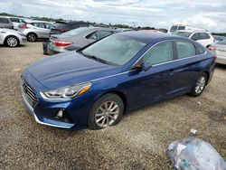 Salvage cars for sale at Riverview, FL auction: 2019 Hyundai Sonata SE