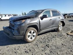 Toyota salvage cars for sale: 2021 Toyota Rav4 LE