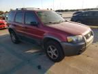 2005 Ford Escape XLT