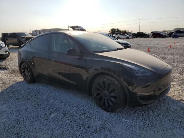 2025 Tesla Model Y