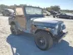 1981 Jeep Jeep CJ5