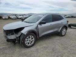 2024 Ford Escape Active en venta en Helena, MT