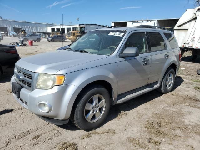 2010 Ford Escape XLT