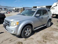 Ford Escape Vehiculos salvage en venta: 2010 Ford Escape XLT