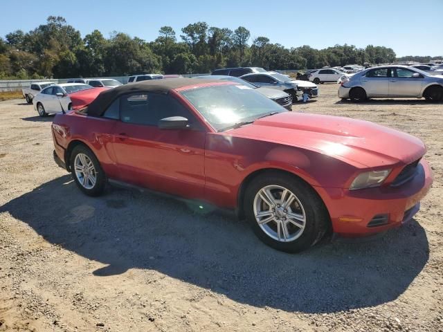 2011 Ford Mustang