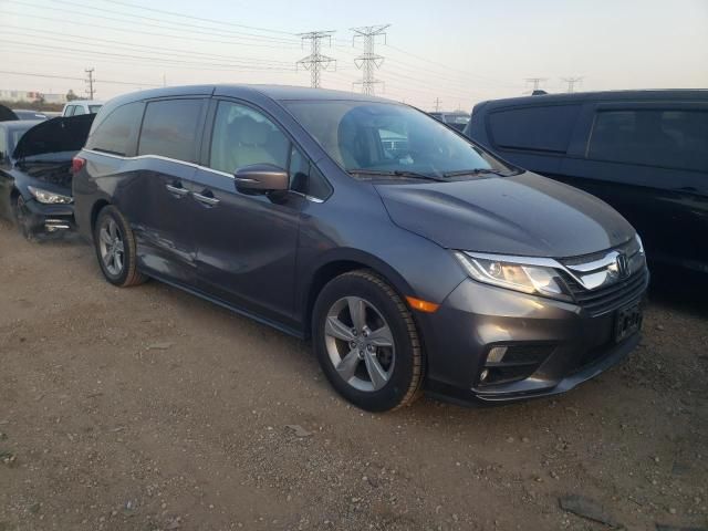 2019 Honda Odyssey EXL