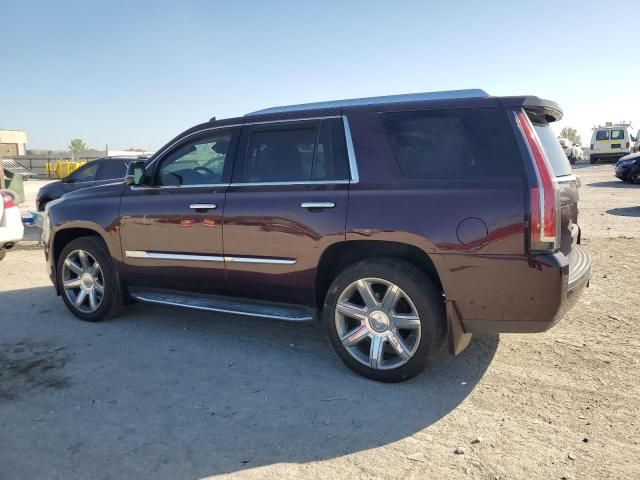 2017 Cadillac Escalade Luxury