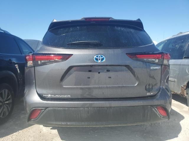 2024 Toyota Highlander Hybrid XLE