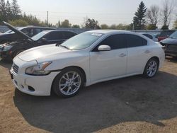 Salvage cars for sale at Bowmanville, ON auction: 2010 Nissan Maxima S