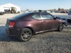 2013 Scion TC