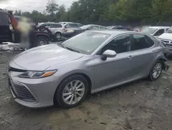 Toyota Vehiculos salvage en venta: 2023 Toyota Camry LE