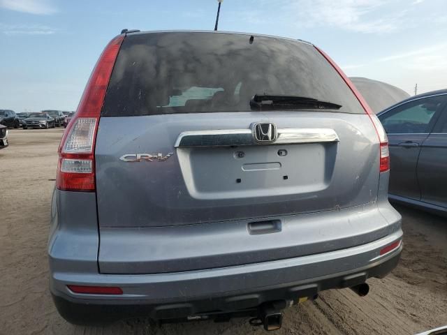 2010 Honda CR-V EXL