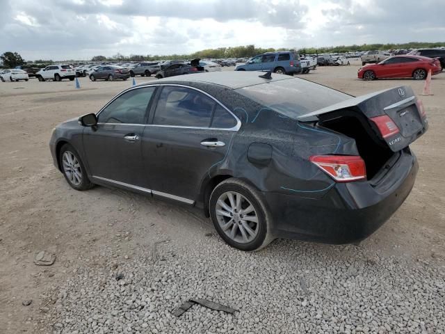 2010 Lexus ES 350