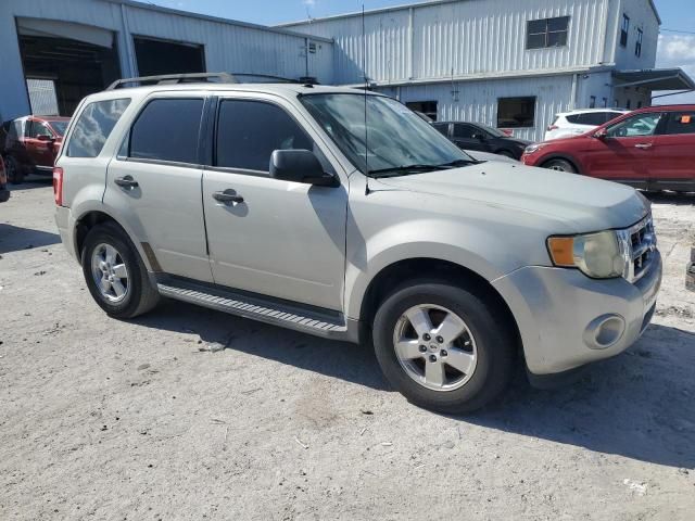 2009 Ford Escape XLT