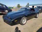 1989 Pontiac Firebird Base